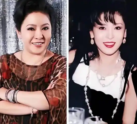 向太陈岚如今肥肥胖胖的,年轻时却是大美女,跟关之琳合照都不输