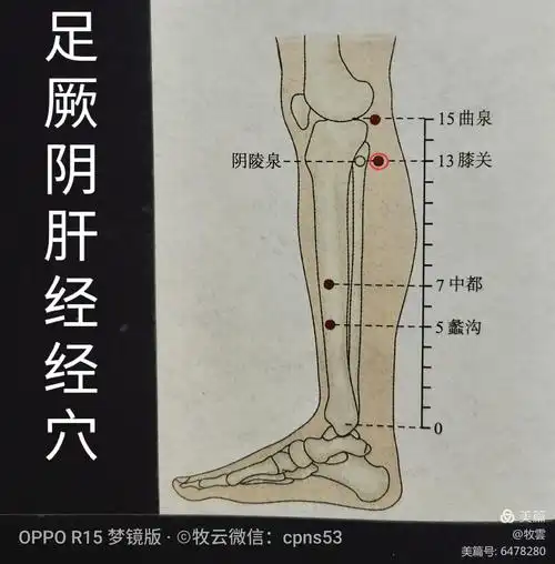 详解《足厥阴肝经》