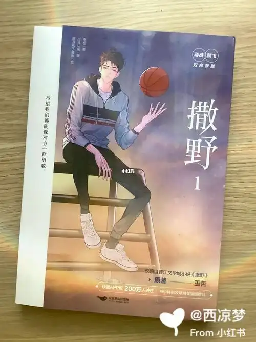 撒野漫画实体书