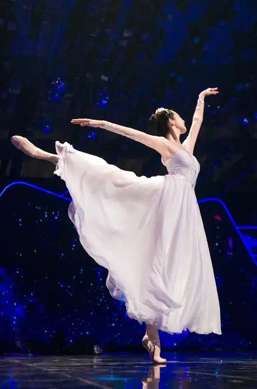 盖楼20张艺凡图楼