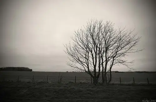 灰蒙蒙的天空,灰色的心情.
