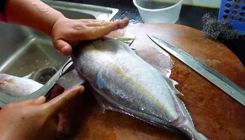 上下两层鱼肉劈开取下整片的肉下面一片也切开剔除侧线部分剔除鱼皮