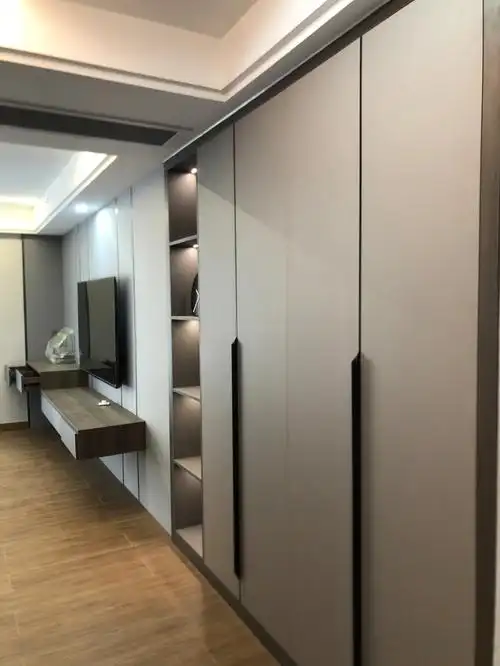 深色衣柜也很耐看阿