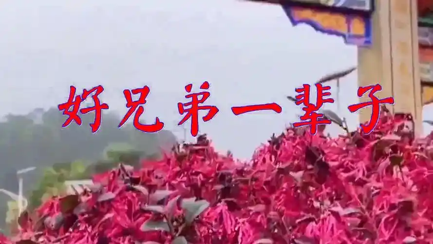 dj何鹏,萧磊,樊少华《好兄弟一辈子》,唱出新风情,嗓音甜美