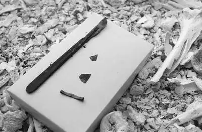 遗体火化烧出手术刀 殡仪馆:这事不新鲜(图)