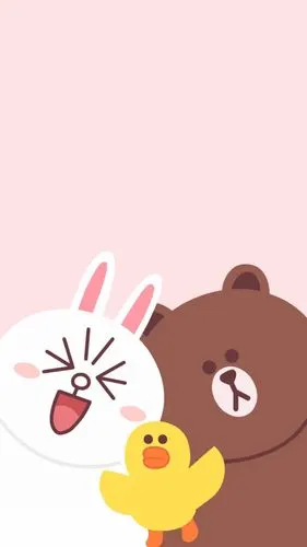 布朗熊和可妮兔