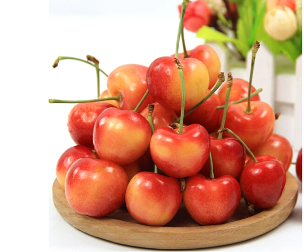 现货智利空运黄车厘子2j大果新鲜当季进口水果樱桃2斤装包邮