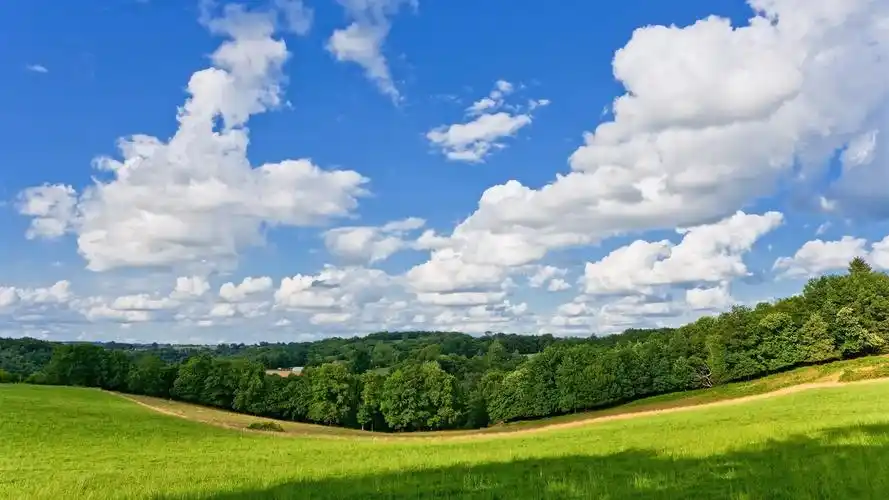 夏天,自然,草甸,树,云,蓝天 壁纸