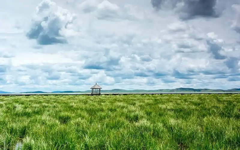 美丽如画的草原美景高清图片桌面壁纸-风景壁纸-手机壁纸下载-美桌网