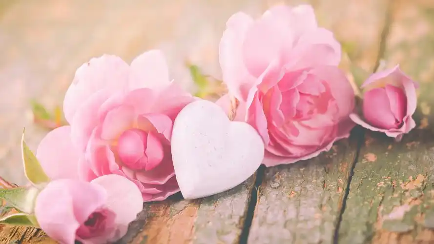 壁纸 粉红玫瑰,爱的心,情人节