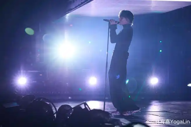 林宥嘉北京演唱会