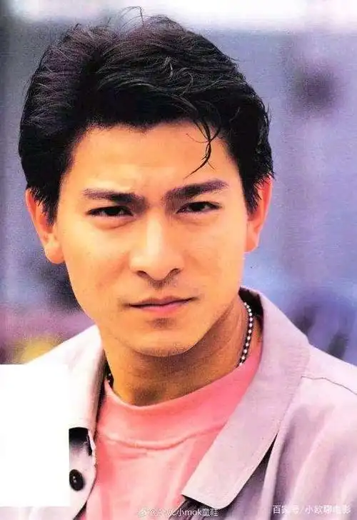 德艺双馨-刘德华,各个时期的帅照