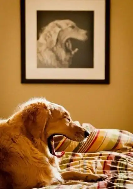 【怪趣创意】拍照绝对需要运气,笑死你的搞笑创意照