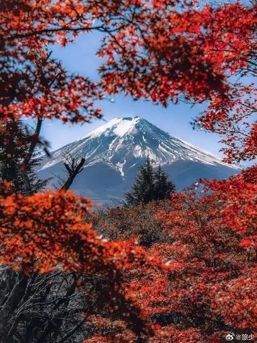 微博旅行家#富士山的多样美景,每个观赏点都惊艳||富士山作为日本的