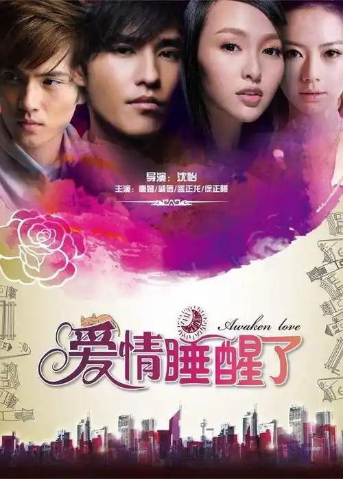 《爱情睡醒了》是一部九年前的都市偶像电视剧,是由火极一时的电视