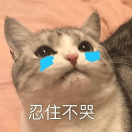 忍住不哭gif猫gif伤心gif搞怪gif逗gif