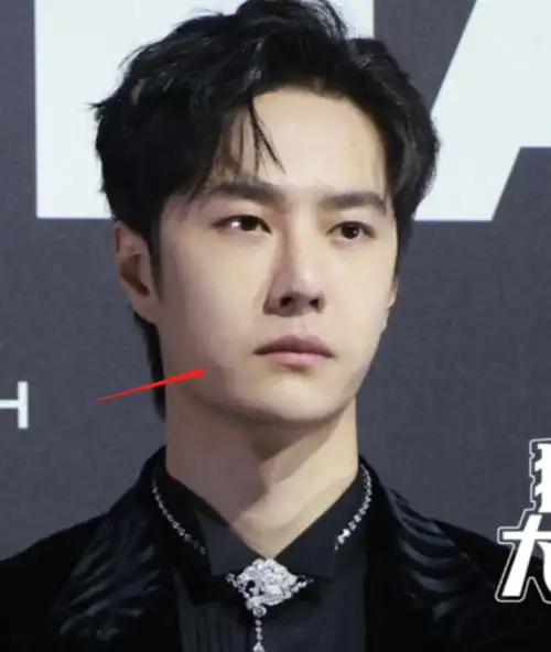 gq盛典怼脸拍好精彩:白鹿色差明显,王一博长痘,张若昀过瘦显垮插图20