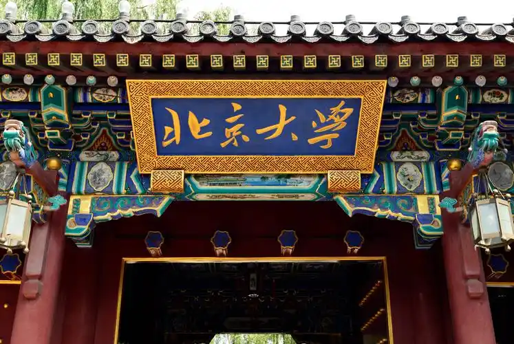 北京大学加固项目