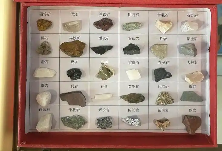 大庆美加幼儿园 科学馆