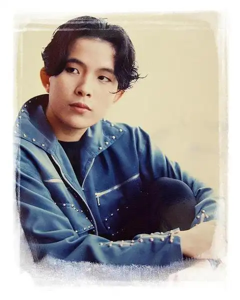 潘美辰 代表作《我想要有个家》