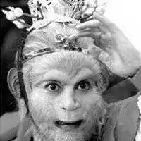 孙悟空六小龄童头像