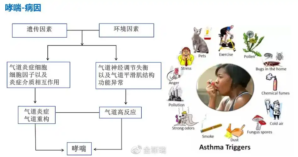 遗传因素对哮喘的发病,严重程度和治疗有重要影响