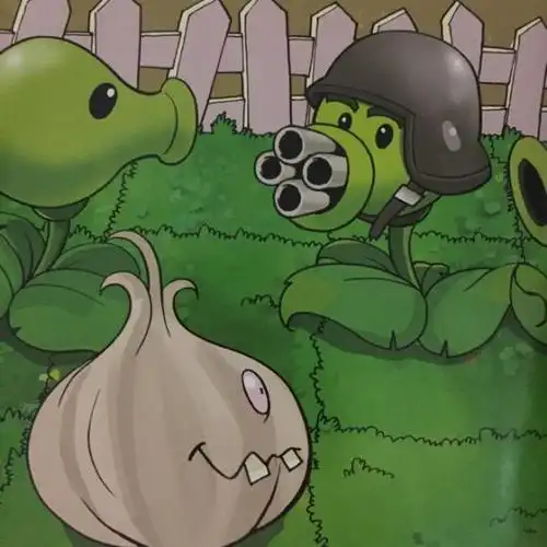 植物大战僵尸 "胆小"的机枪射手