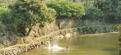 小屁孩游泳天堂.