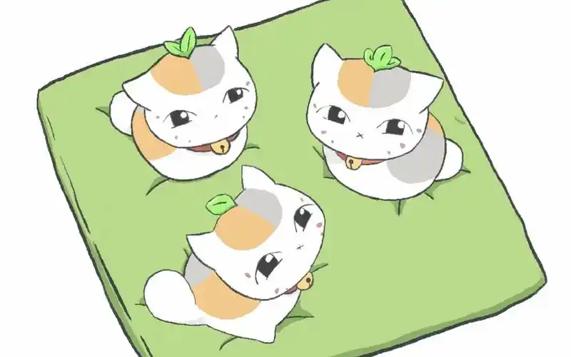 【夏目友人帐】猫咪老师三小只