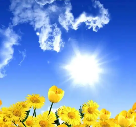 朗读美文,治愈心情.每天保持正能量满满,让生活充满阳光,充满快乐.