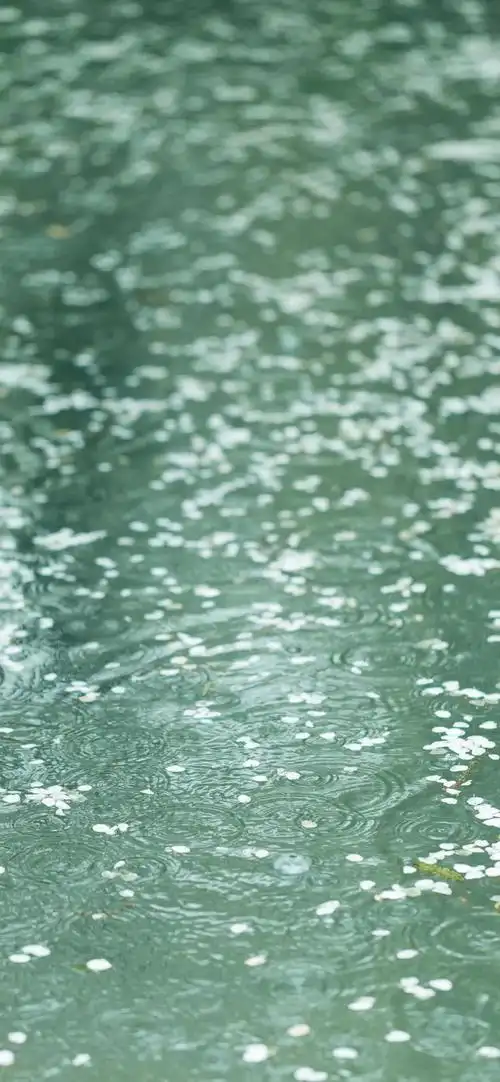 下雨天图片伤感雨的图片唯美清新雨天手机壁纸好看馆