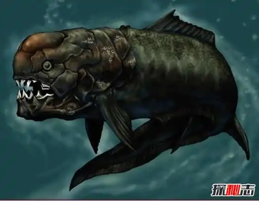 古生代海洋霸主邓氏鱼,咬合力超强一口吞掉鲨鱼(顶级)