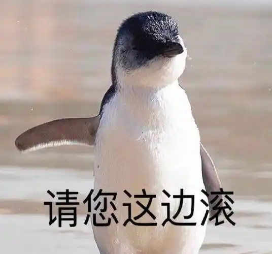 萌宠企鹅请您这边滚生气搞怪呆萌gif动图_动态图_表情包下载_soogif