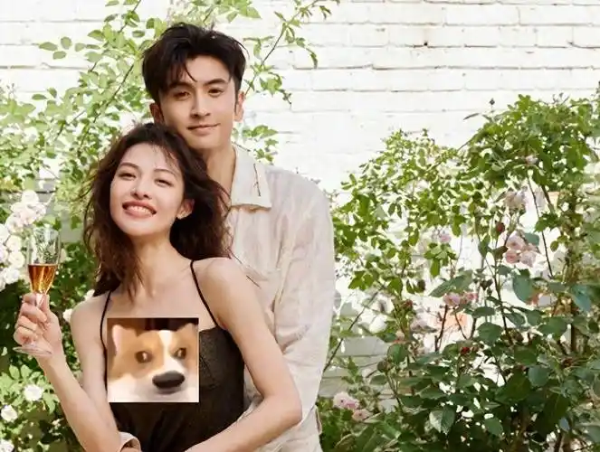 曝钟楚曦新恋情,与侯雯元街头拥抱,张云龙深夜发文疑回应_网友_丑闻