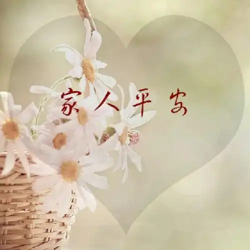 二愿岁月静好坚持初心的唯美句子,生活越平淡,内心越绚烂,纵然一生云