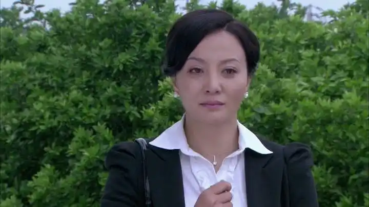 家有大姐-电视剧-免费在线观看-爱奇艺