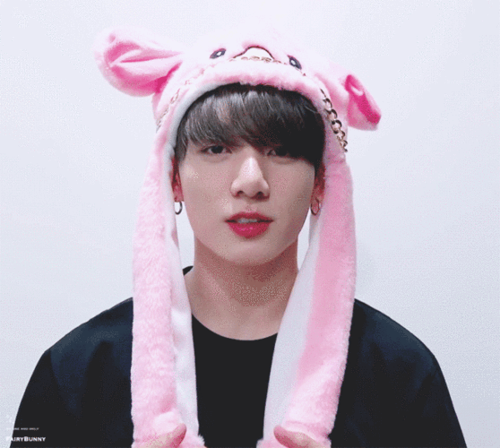 披着猪皮的兔叽田柾国