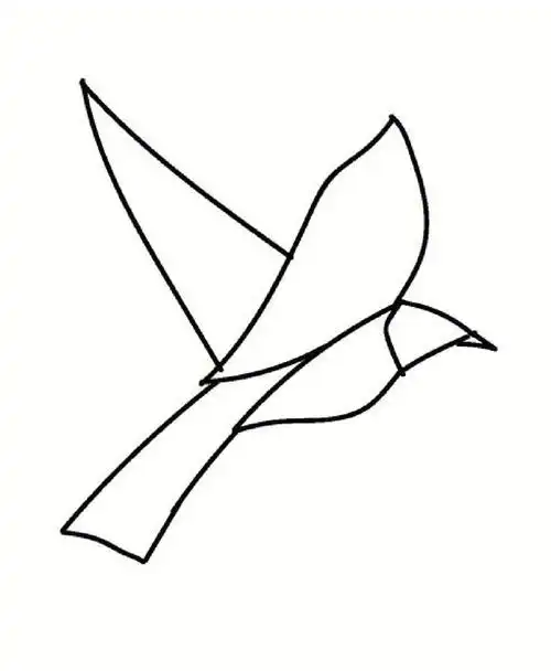 如何画一只贵气的鸟