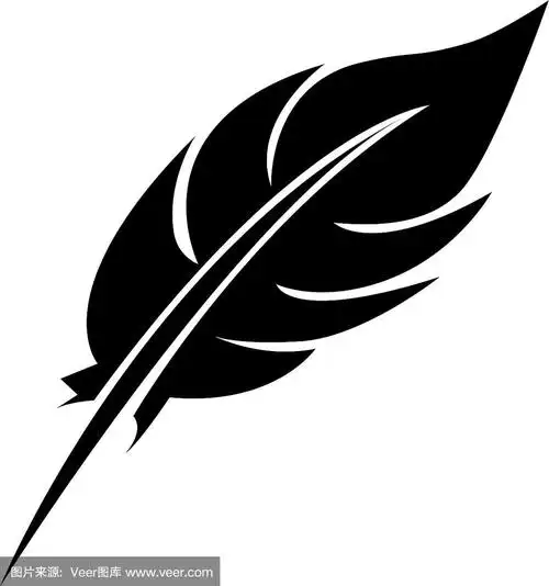 黑色羽毛图标股票