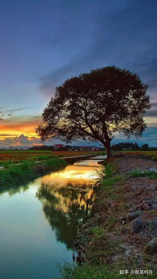 有没有很阳光清新绿色自然让人心情好的风景壁纸