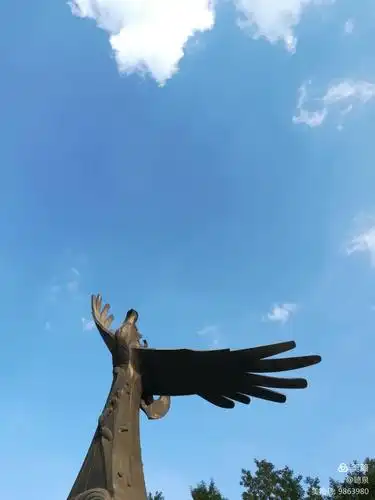 蓝天白云下,雄鹰展翅.