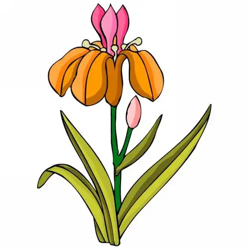 卡通花朵枝节特写图片特写花朵其他卡通枝节