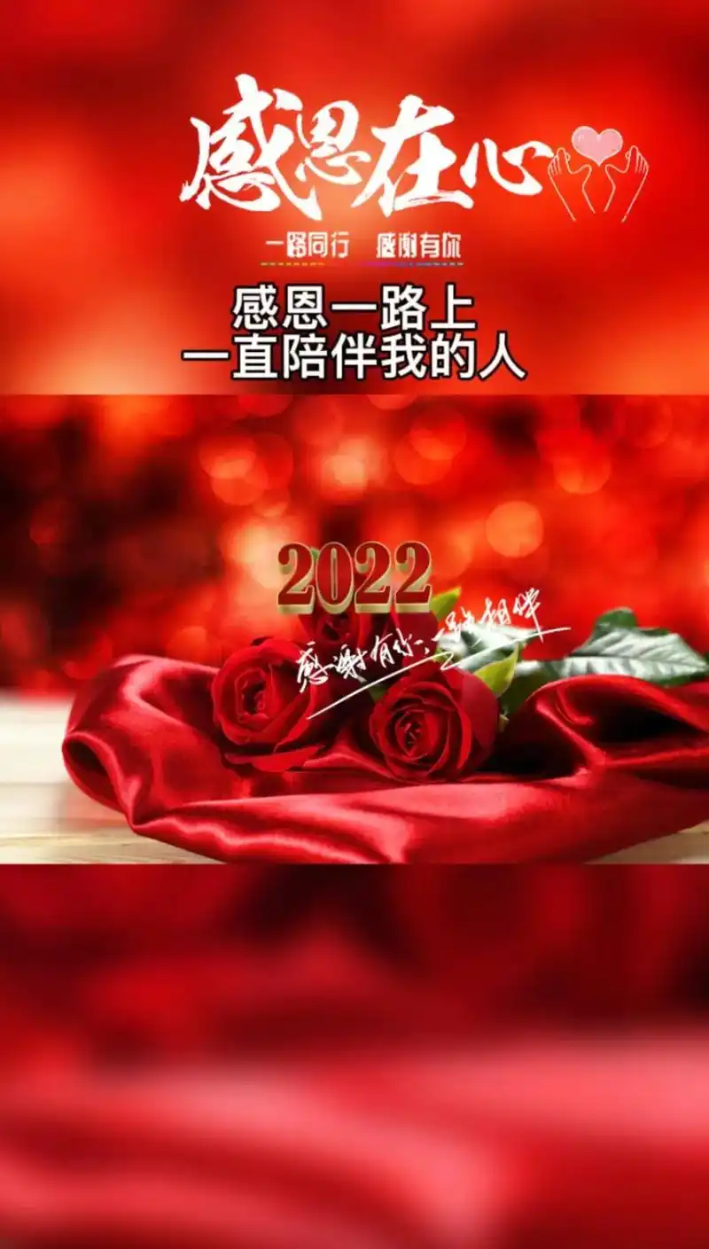 感恩所有相遇与陪伴,愿新的一年 - 抖音