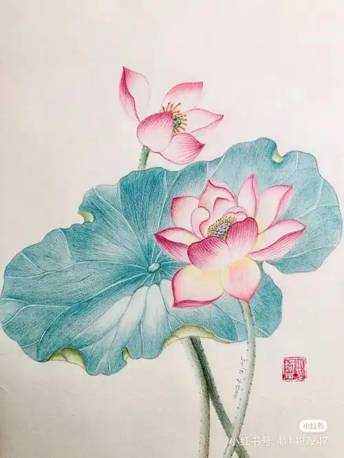 第二组是荷花彩铅作品,除了内容选题上比较古风外,整个画面的构图和用