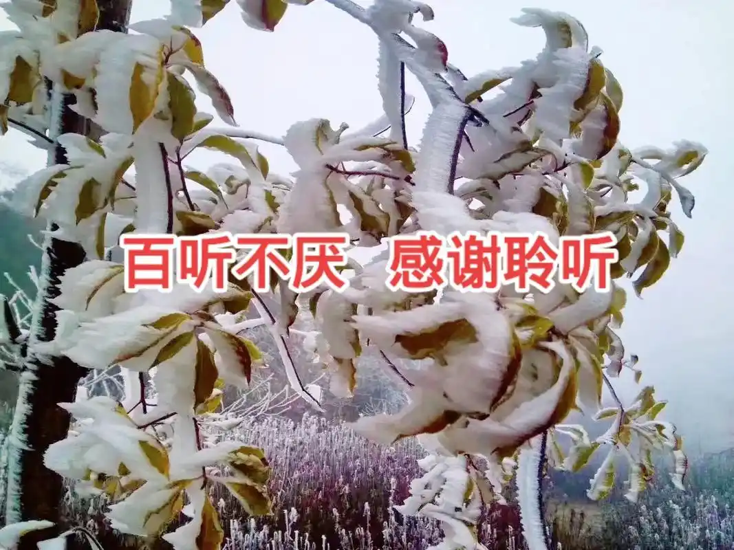 图片不重要  重要的是歌好听  一首《红颜知己》送给大家   - 抖音