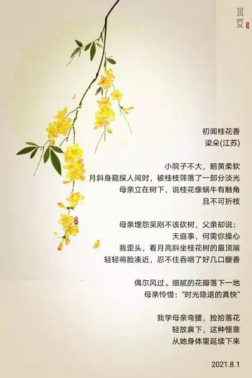 梦在深巷的八月桂花诗两首
