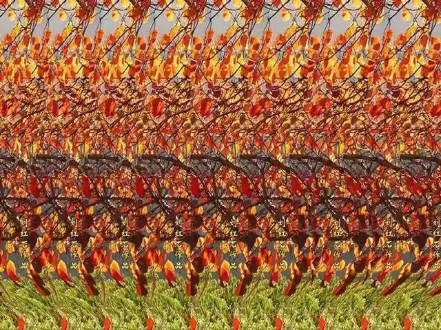 25张裸眼3d图片,带你重温童年的记忆,感受3d的魅力