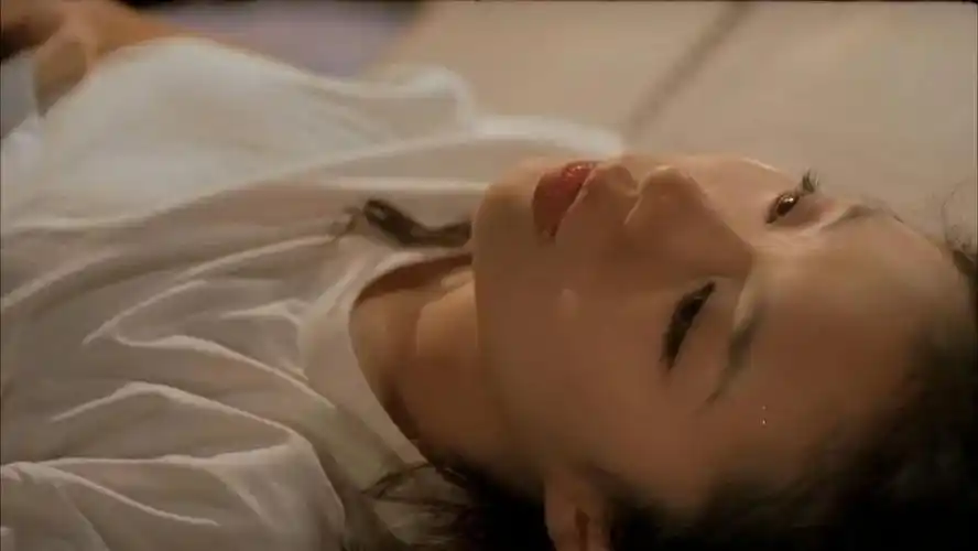 大尺度韩剧妻子出轨丈夫上演完美犯罪杀死妻子嫁祸给了妻子的情人