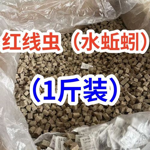 红线虫块水蚯蚓粘贴鱼食小型观赏鱼饲料棉花虫高蛋白龟粮散装