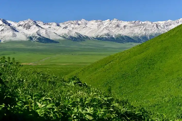 大美新疆美丽的那拉提草原
